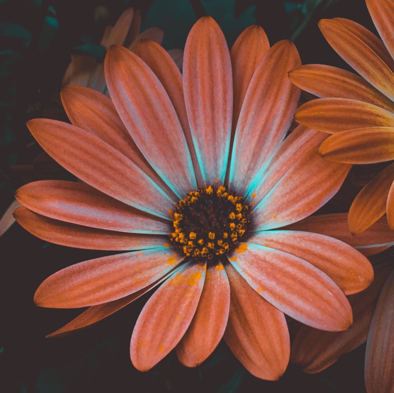 ../pexels-visually-us-1477166.jpg