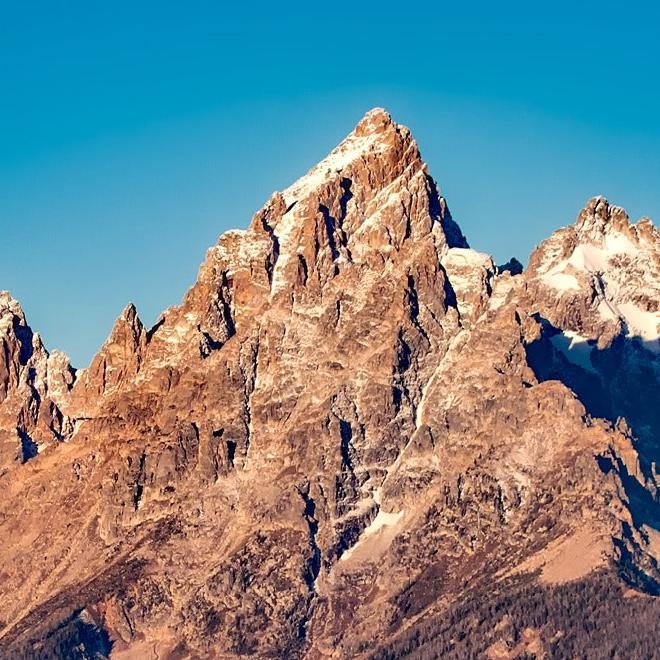 ../pexels-pixabay-210243.jpg