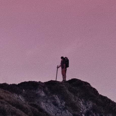 ../pexels-simon-berger-1323550.jpg